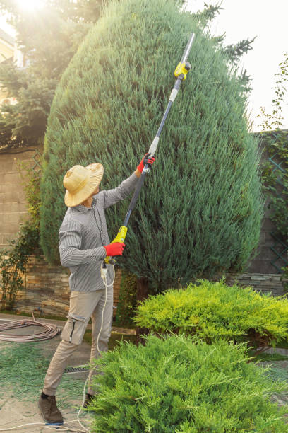 Landscape Design and Installation in Dixon Lane Meadow Creek, CA